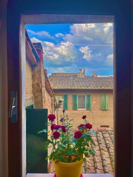 Suite19 Centro Storico