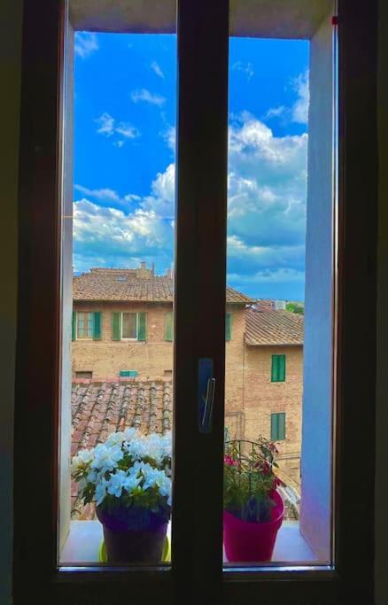 Suite19 Centro Storico Siena